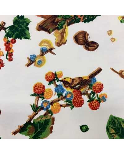 Tessuto Cotone Drill...