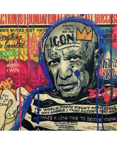 Pannello Ciniglia Pop Pablo...