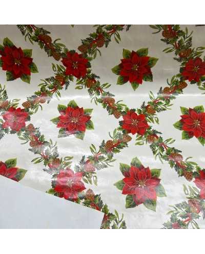 Plastica Stella Di Natale...