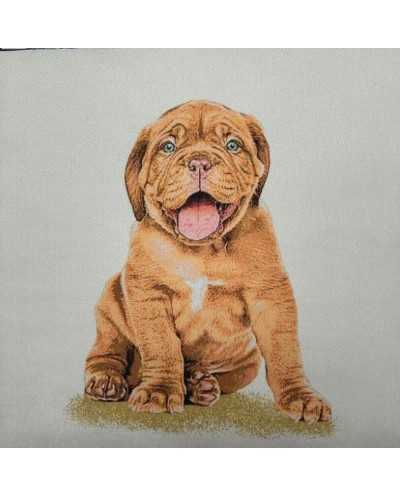 Pannello Suede Cane Mastino...