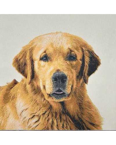 Pannello Suede Cane...