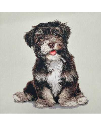 Pannello Suede Piccolo Cane...